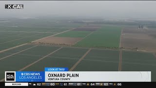 Oxnard Plain | Look At This!