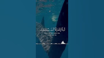 ودا النون اذ ذهب مغضباً - تلاوة قرانية