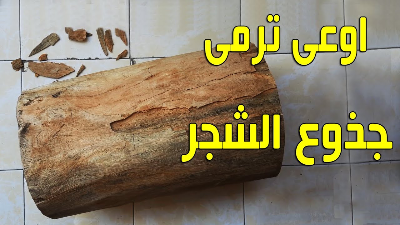 لو عندك جذع شجره اوعى ترميه - ديكورات منزلية من جذوع الاشجار