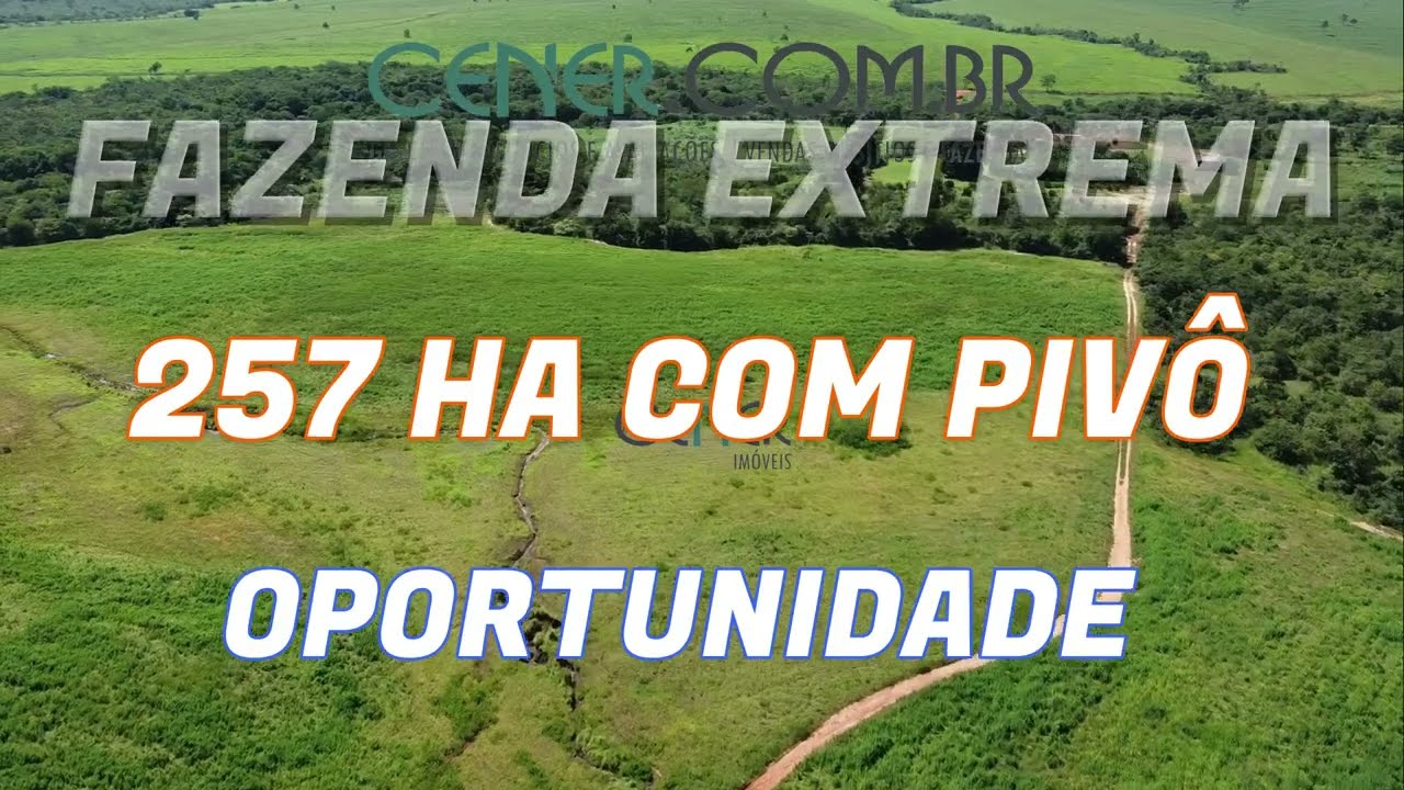 Cener Imóveis 2376 I Fazenda de 257 ha com pivô por 4.500 000,00 Diamantina MG