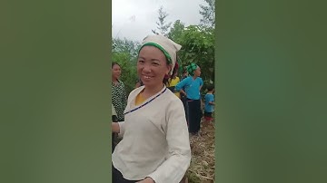 chôn rượu trong lễ hỏa táng nhà xe của đám ma người nùng ở bắc quang hà giang