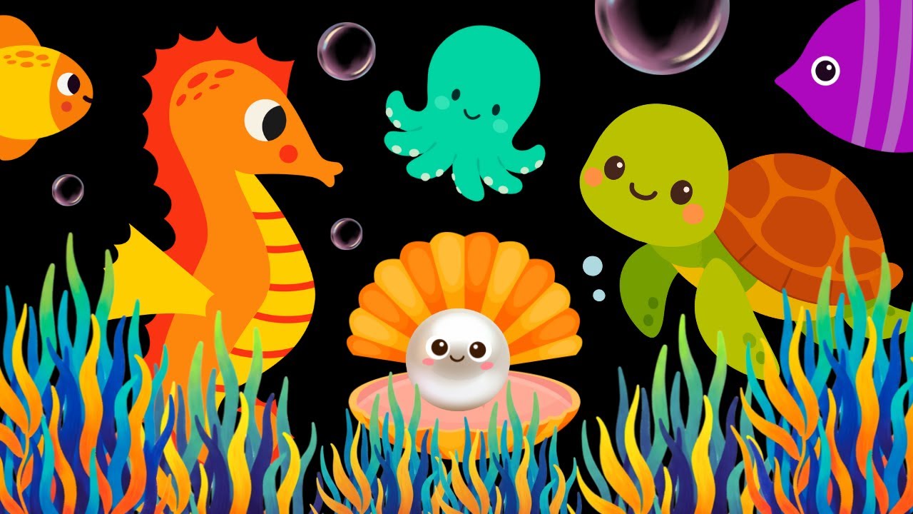 Baby Sensory Video – High Contrast for Newborn – Sensory Videos for Babies - Tummy Time 