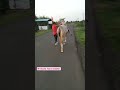 horse dance