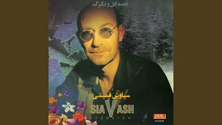 Video thumbnail of "Siavash Ghomayshi - Che Dardist"