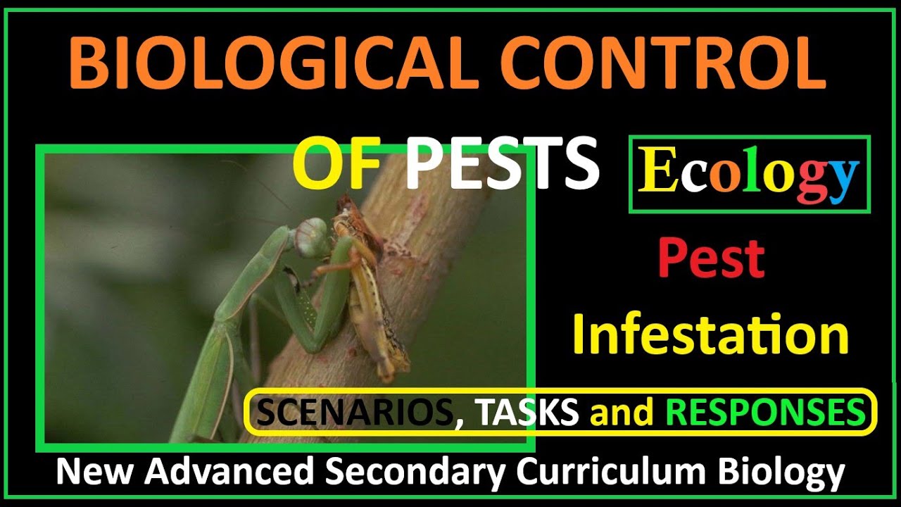 Ecology-11-Invasive Species, Impacts on Native Biodiversity, Ecosystems, and Economies