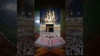 #Rahim Sayyed 7766