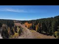 Fall colors on Casper Mountain