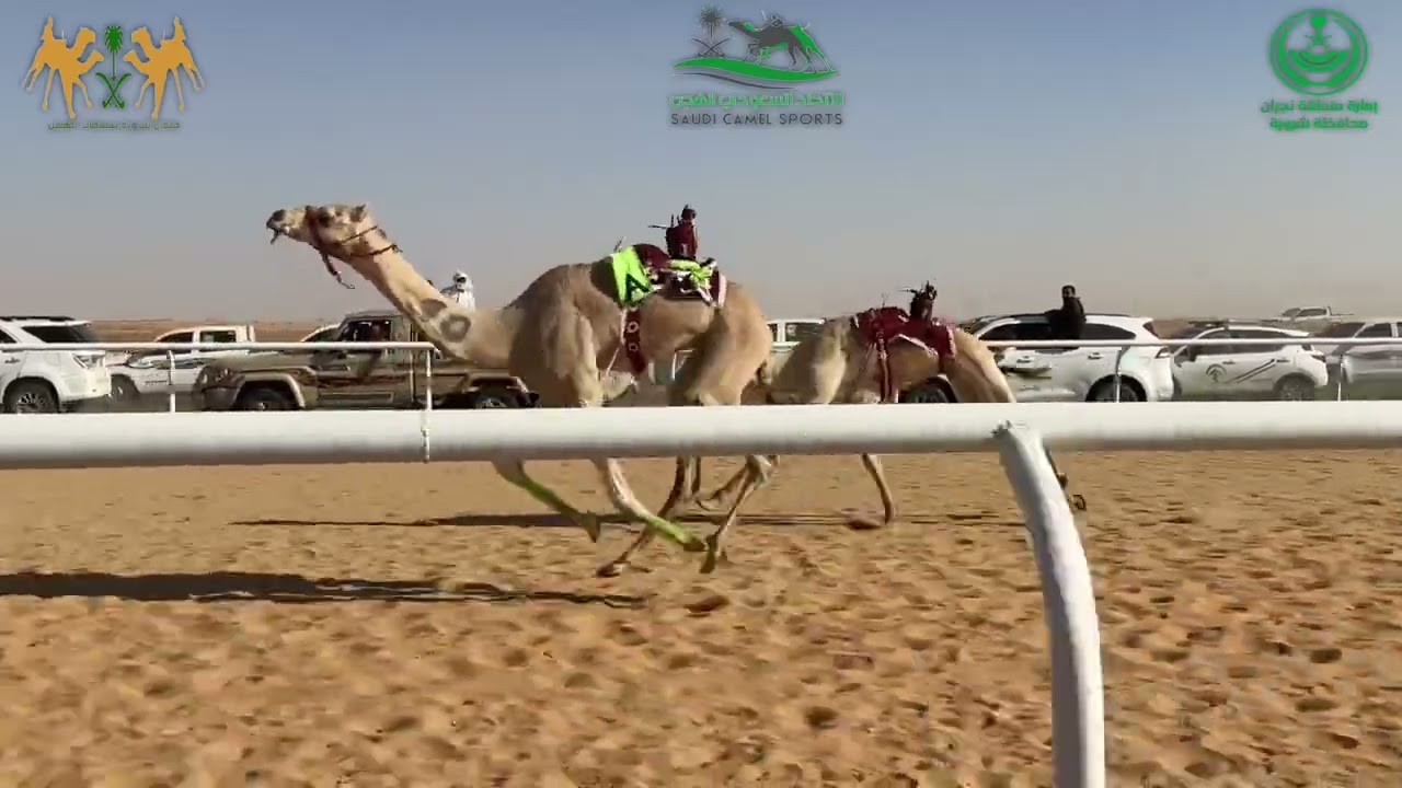 ميدان شرورة - الشوط الاول رئيسي حقايق قعدان - (مهاجر ) ل علي مفرج ال معروف الصيعري