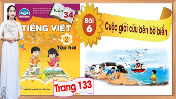Tiếng Việt lớp 2 chân trời sáng tạo tuần 34 bài 6| Cuộc giải cứu bên bờ biển