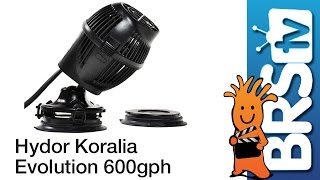 Hydor Koralia Evolution 600GPH Flow Dynamics | #BRSTestLab