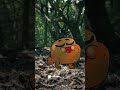 프로세카를 즐기는 방법