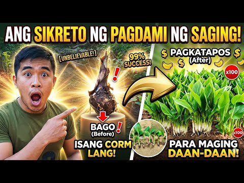 Lakatan Macro Propagation Paano paramihin ang isang subwal/Saha.