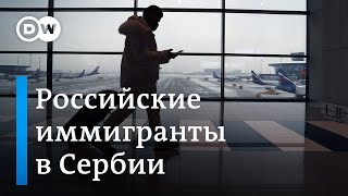 Российские иммигранты в Сербии: отсутствие интеграции и жизнь в параллельной России