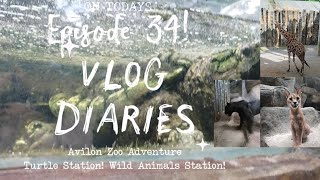 Vlog Diaries | Daily Life : Episode 34 - Avilon Zoo Adventure! Turtle Station! Wild Animals Station!