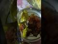 food #homemadereceipe#viral#shorts#trending#ytshorts#All in One @jullybehera