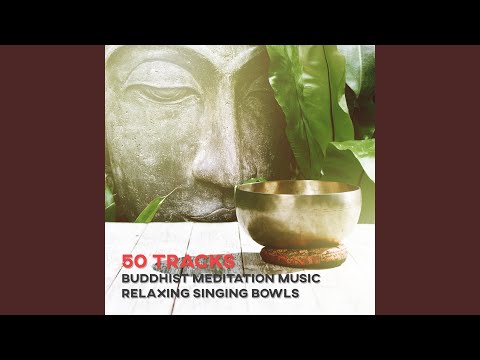 Ver Music for Healing Through Sound and Touch en YouTube