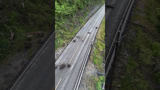 Fjellrensk ved Uri – steinane tekne ned over Rv13 mellom Sogndal og Leikanger.