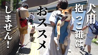 実は危険！？犬用抱っこ紐のメリットデメリット！【甲斐犬・柴犬】