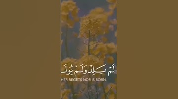 سورة الإخلاص                               #ايات_قرانيه_قصيره #قرآن #اجر_لي_ولك