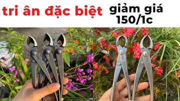 [ sale sốc ] giảm 150k/1 cây cạp đa năng || cạp xéo | cạp tròn | cạp đa năng làm cây #bonsai