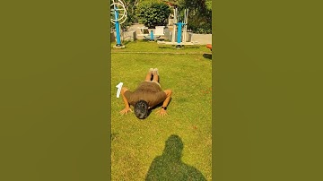 How To Do Proper Fauji Type Pushups & Situps | Anytime Anywhere Fitness | Outdoor Gym #fitness