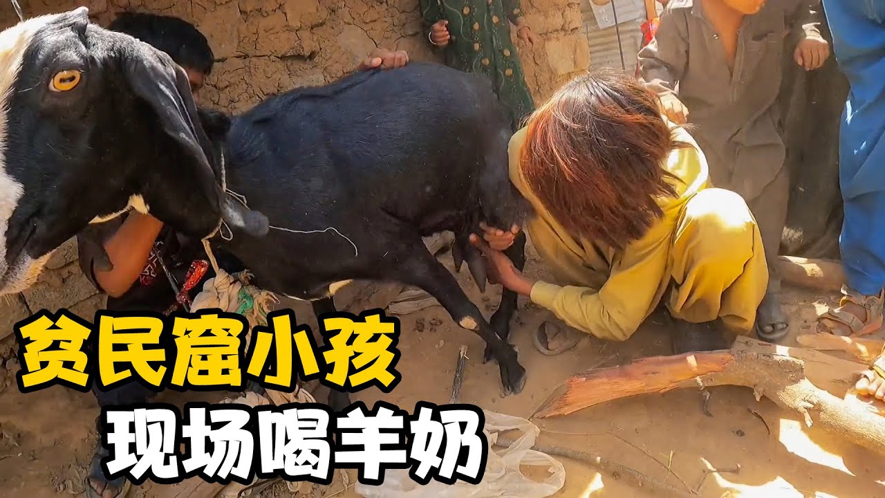 偶遇贫民窟小孩现场喝羊奶，惊呆我！网友寄来礼物送给孩子们【卓越穷游记】