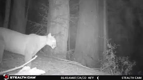 July 2022 CritterCam