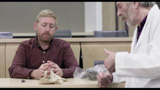 The Difficult Learner Part 4 - Making a Plan