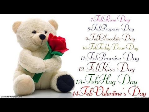 Happy Teddy Day 🐼|Teddy Day Whatsapp status video |Teddy day quotes, greeting, status, wishes, gif