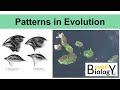 Evolutionary Concepts and Patterns