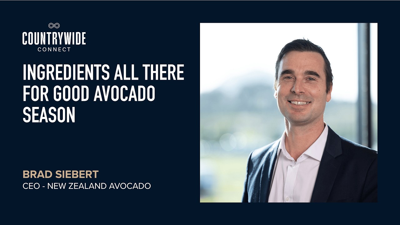 Brad Siebert - Ingredients all there for good avocado season