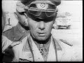 Need To Know About: Erwin Rommel - Full Documentary