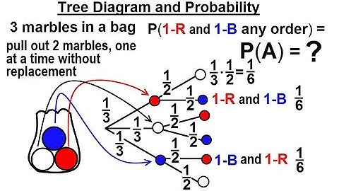 Statistics: Ch 4 Probability in Statistics (44 of 74) Tree Diagram & Probability Test