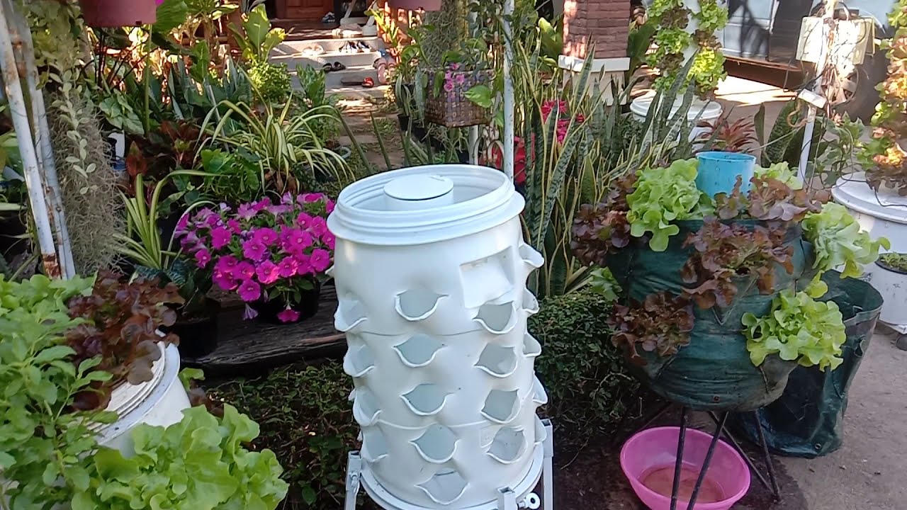 คอนโดผักหมักปุ๋ย worm tower garden