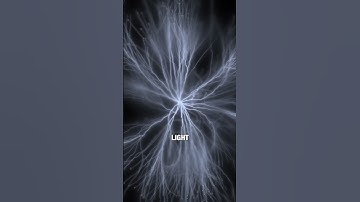 We’re Nature’s Fiber Optic Cable 🔌