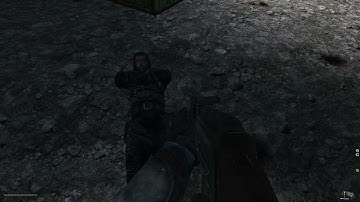 Why I love Stalker #49 - WTF just happend at arena