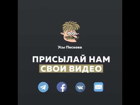 Папа, не пей! - YouTube