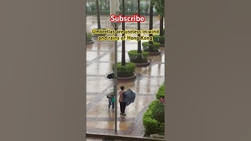 Umbrellas are useless in winds and rains of Hong Kong