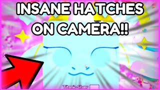 🔥TOP 5 CHRISTMAS HATCHES!! 📷TITANIC SILVER DRAGON HATCHED ON CAMERA!! | Pet Simulator 99 | Roblox