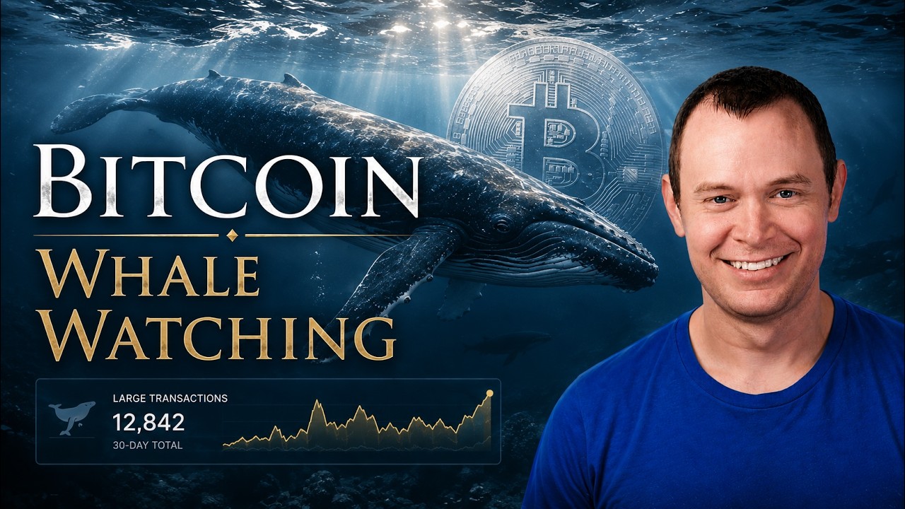 Bitcoin Whale Watching