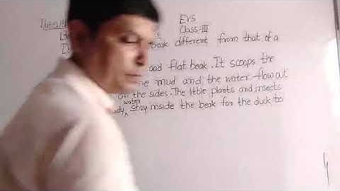 Class III EVS 18 08 2021 by Mr Rupesh Chapter 6 Birds Our Feathered Friends