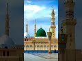 madina munawara short naat #viralvideo #islamic idi short #shorts