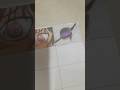 Obito eye draw(eye drawing challenge) #obito #anime #art #drawing #Master_of_Art
