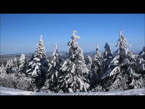 ВИА Самоцветы -- Увезу тебя я в тундру