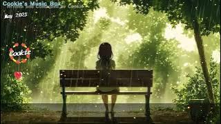 🎵【她成了春天的模樣】Cookie原創歌曲——獨自堅持，但從不退縮的成長之美