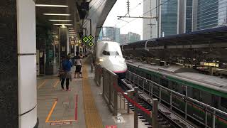 東京駅　上越新幹線　E4系　発車　30.6.19