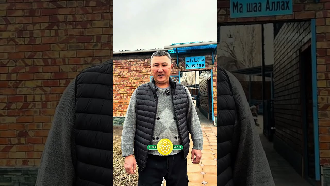 26 февраля 2026 г.