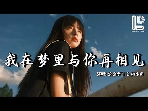 沧桑李哥 & 杨小萌 - 我在梦里与你再相见 (抖音热播DJ版) Wo Zai Meng Li Yu Ni Zai Xiang Jian『我在梦里与你再相见，醒来只剩无尽的思念』抖音版『动态歌词MV』