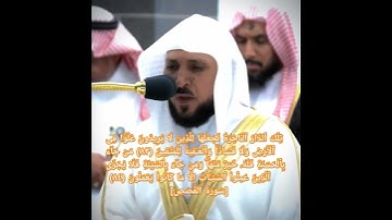 تِلۡكَ ٱلدَّارُ ٱلۡـَٔاخِرَةُ نَجۡعَلُهَا لِلَّذِینَ لَا یُرِیدُونَ سورة القصص د ماهر المعيقلي