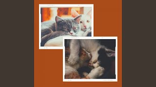 Fiery Music for Cutest Kittens